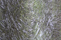 Broadwater Down fibreglass roof work